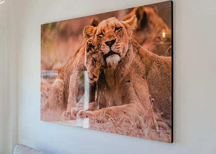 Exclusive New Townhouse In Playa Paraiso بيت للعطل أذيخي